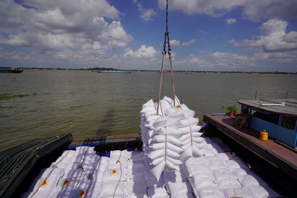 Vietnam's rice exports soar after India’s export ban