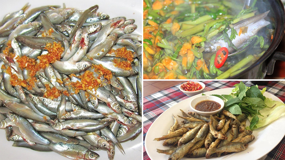 Linh fish – The specialty of Mekong Delta’s flooding season