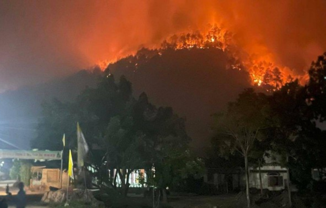Nghe An forest fire brought under control