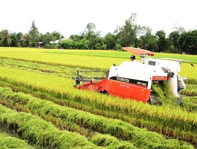 Dong Thap achieves high economic growth