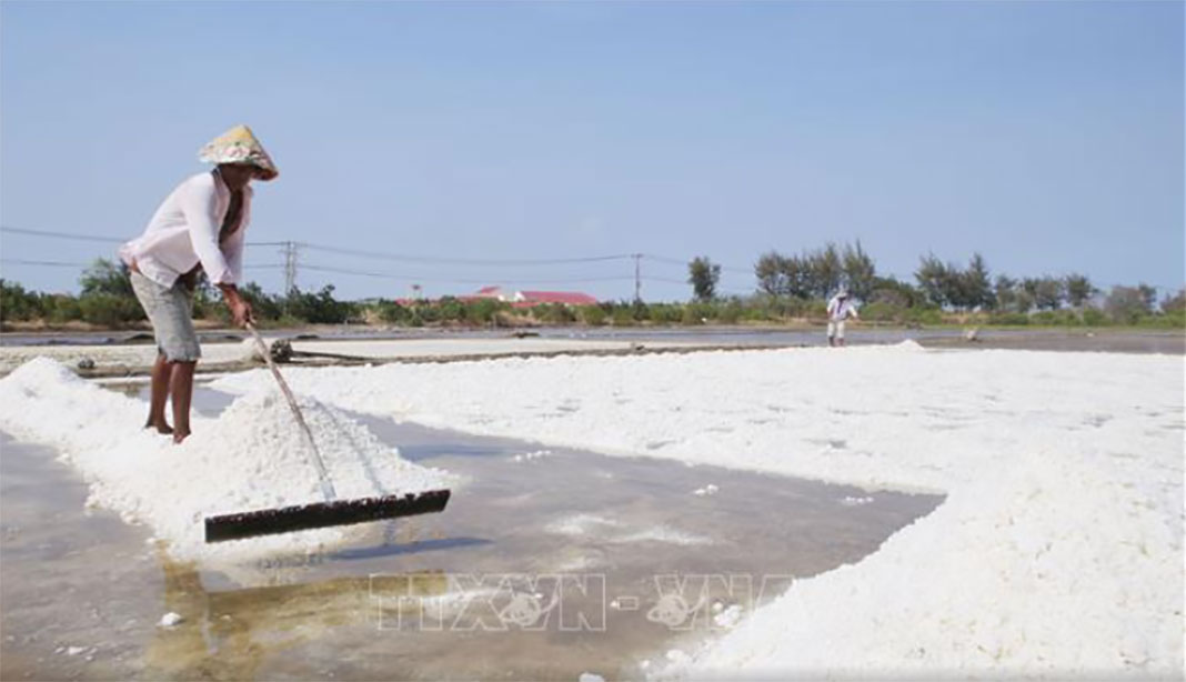 HCMC approves farmland conversion in Can Gio