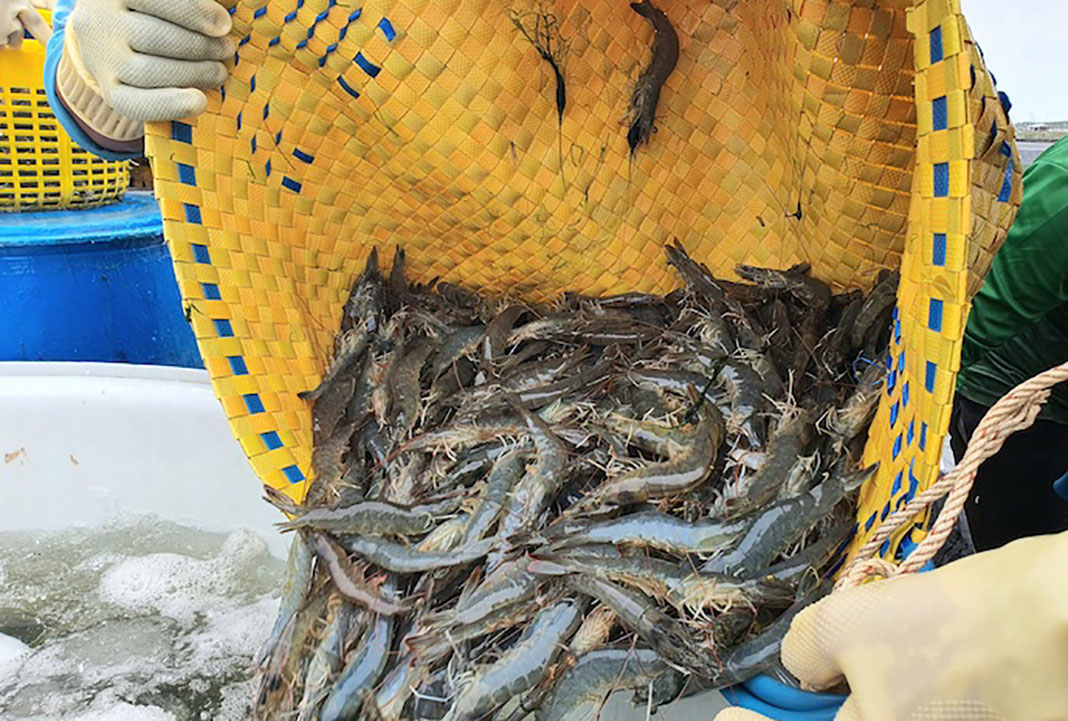 Vietnam enjoys trade surplus of US$15.23 billion in Jan-July