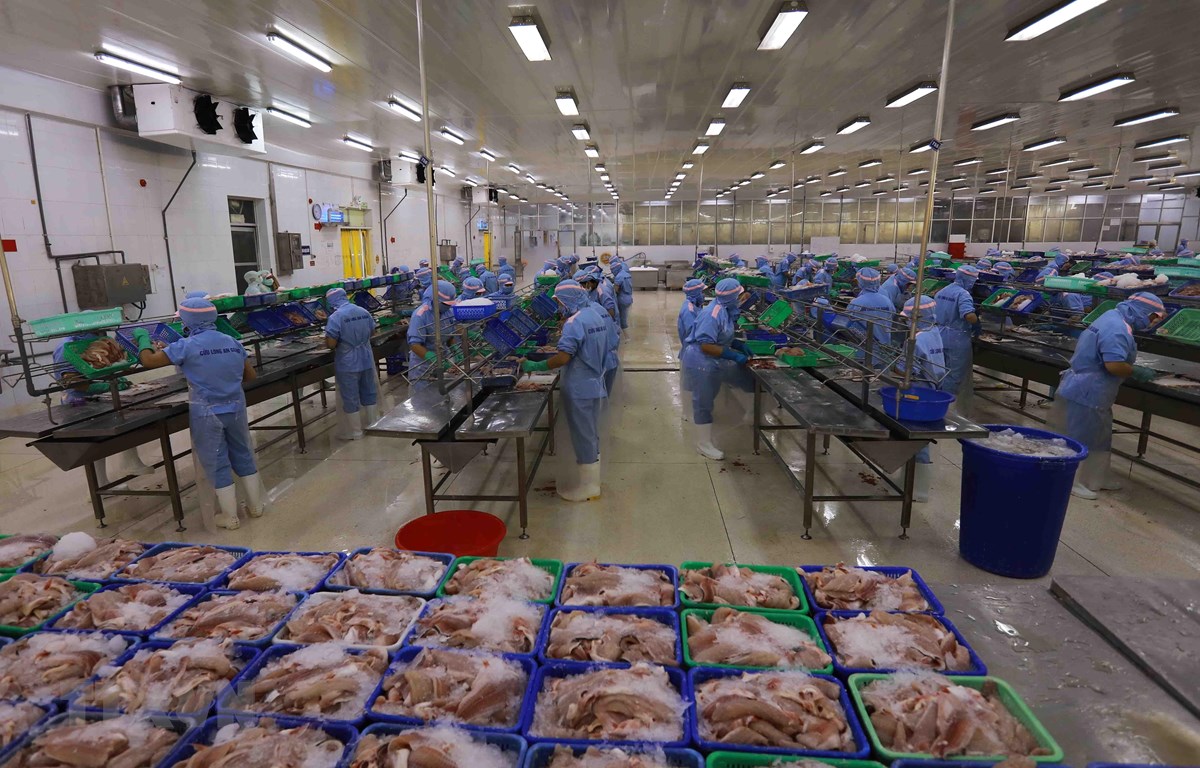 U.S. POR19 review gives hope to Vietnam tra fish exporters
