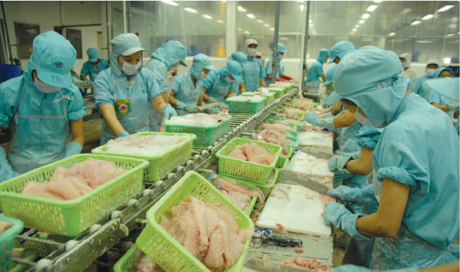 Dong Thap boosts agricultural trade with Guangxi, China