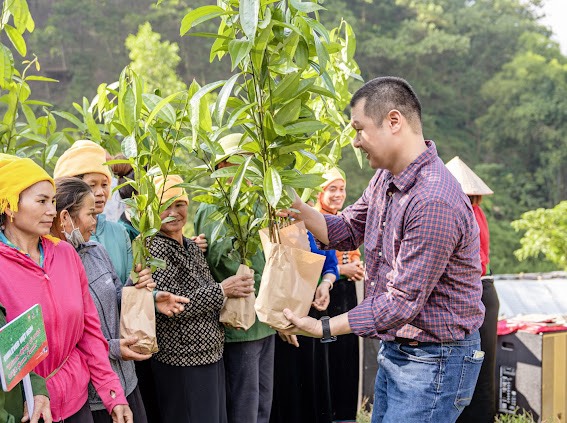 Unilever gives 250,000 trees to two northern provinces