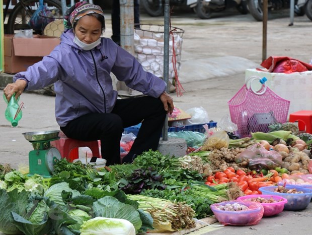 Vietnam's economic rebound challenged by rising headline inflation: WB