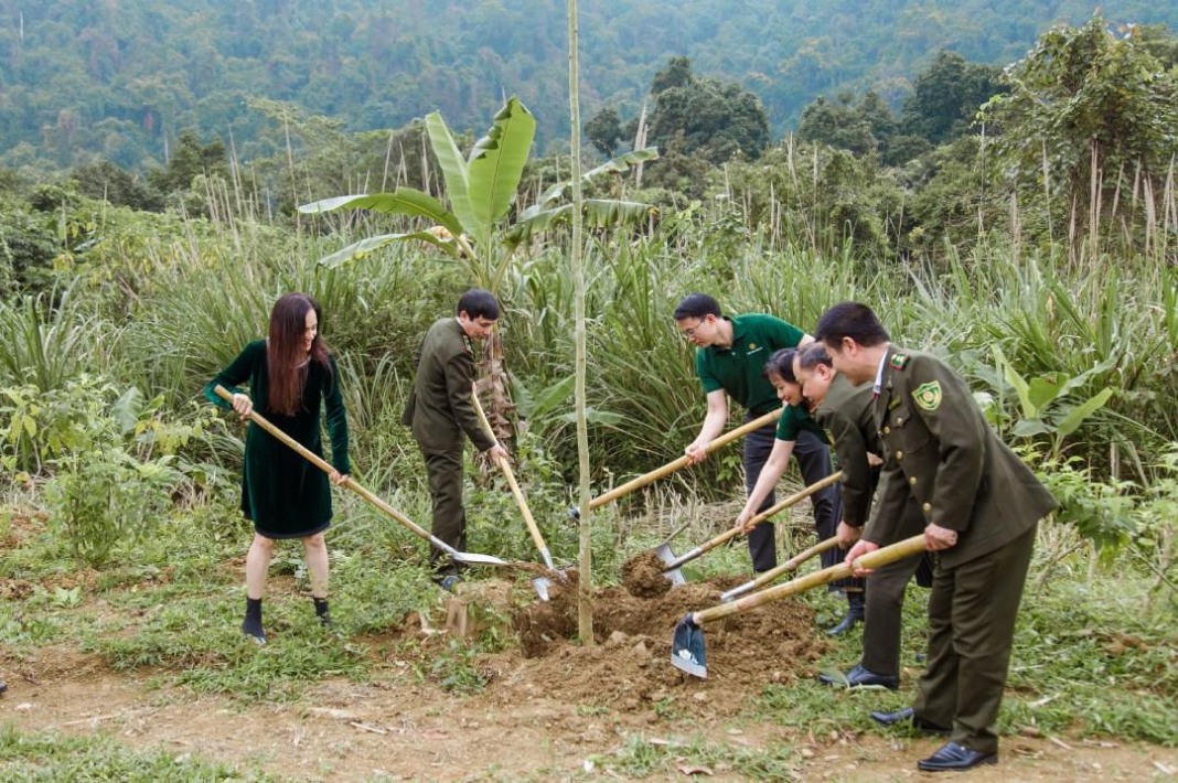 The PAN Group – a pioneer in forestation