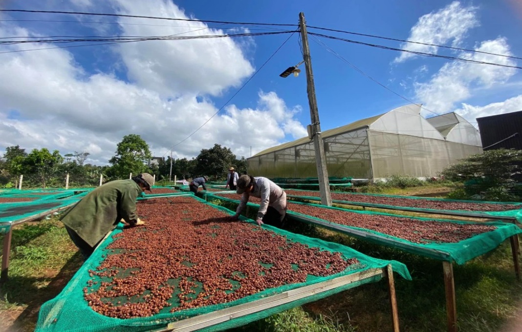Coffee, durian prices soar sharply in January