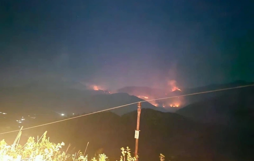Wildfire hits 25 hectares of forest in Lao Cai