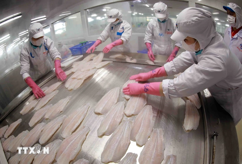 Tra fish exports rebound on strong U.S. demand
