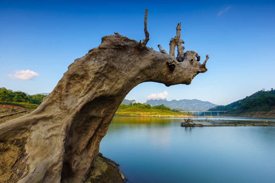 Refreshing greenery of Tuyen Quang