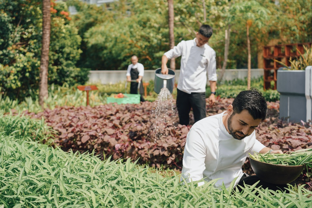 Sustainable culinary week at JW Marriott Phu Quoc