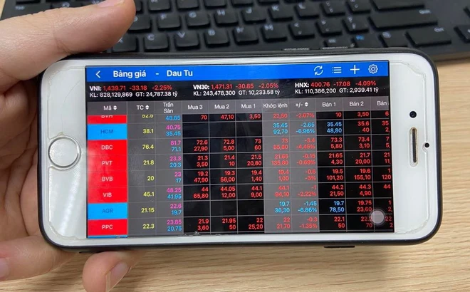 Heavy sell-off sends Quoc Cuong Gia Lai’s shares plunging