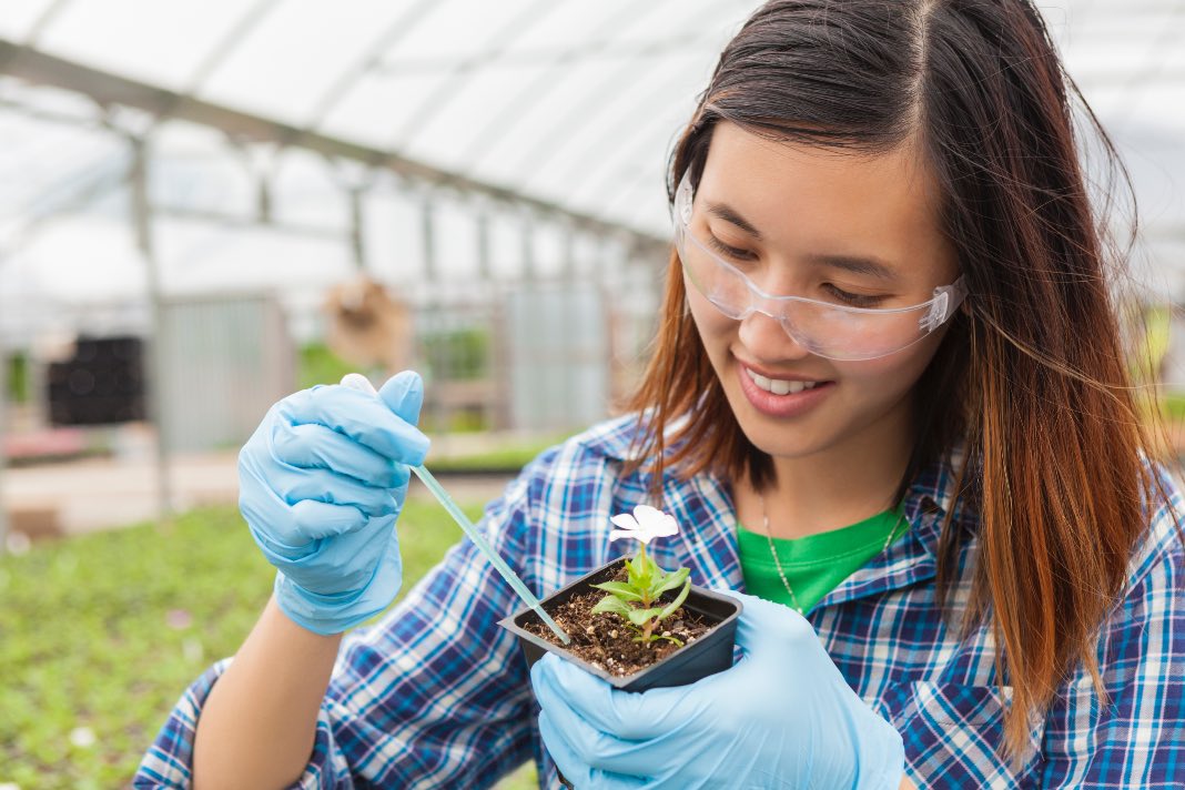 Vietnamese students awarded Women in STEM scholarships