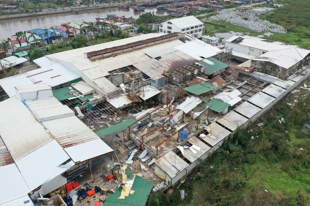 Typhoon Yagi warrants transformation