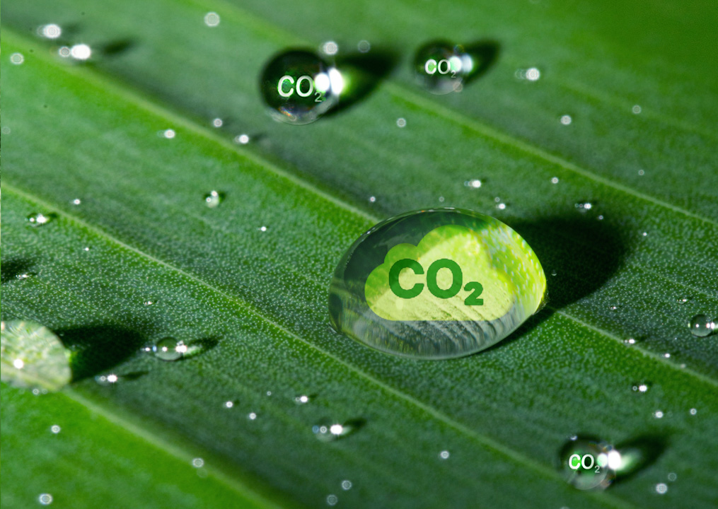 Industry tour to drive manufacturing decarbonization to be held in Can Tho