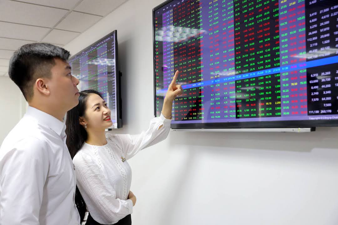 REE plans 25% dividend payment for 2024