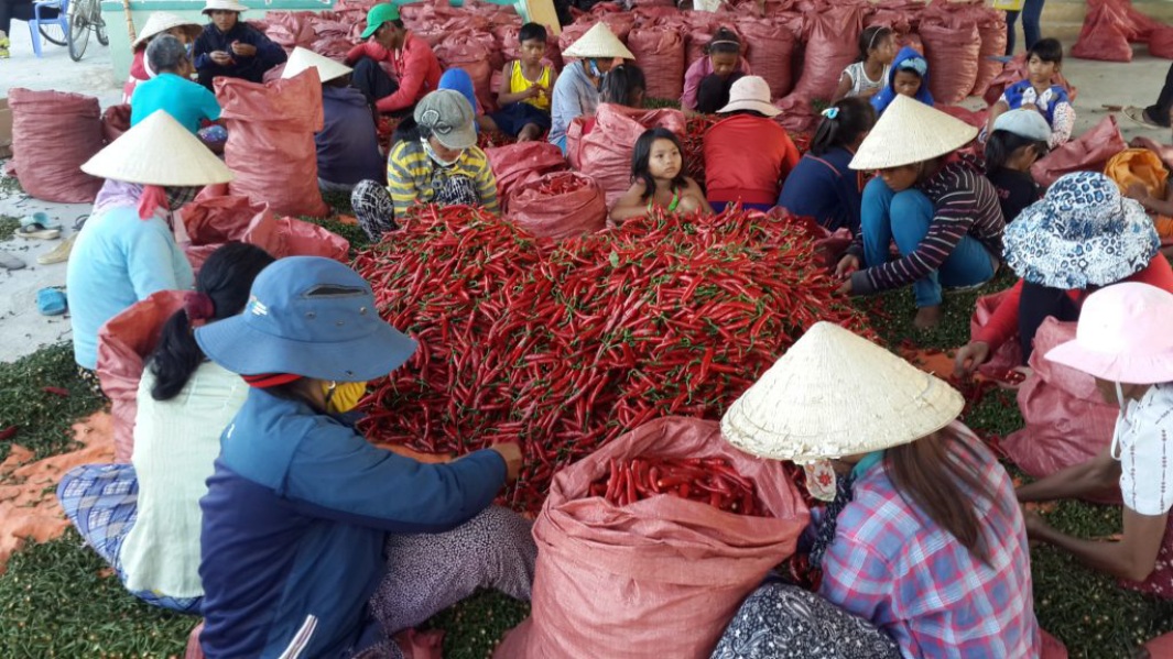 CJ Group deepens roots in Vietnam with sustainable growth and community impact