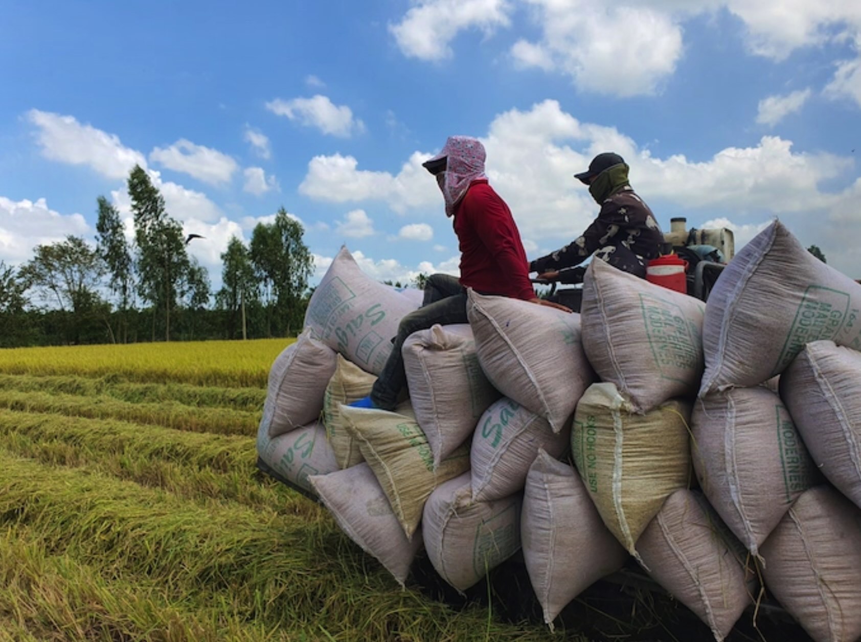 Vietnam proposes zero-percent tariff on Cambodian rice, tobacco imports