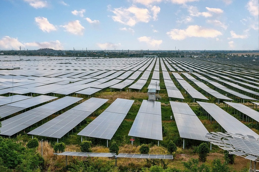 When solar panel farm becomes a selfie spot