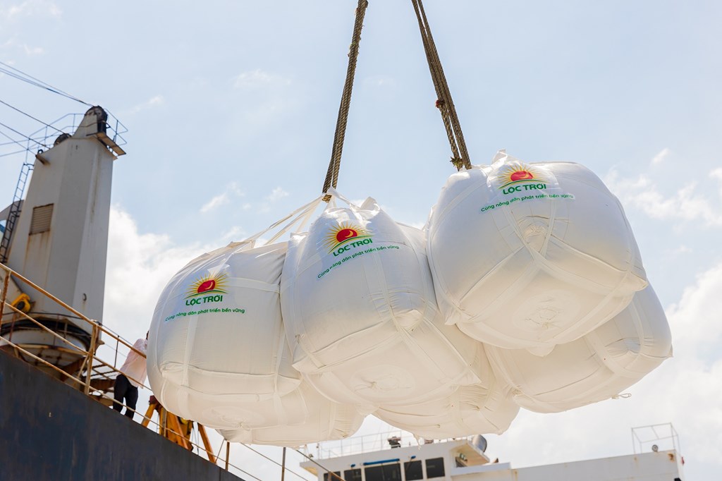 Export prices of Vietnamese rice fall sharply