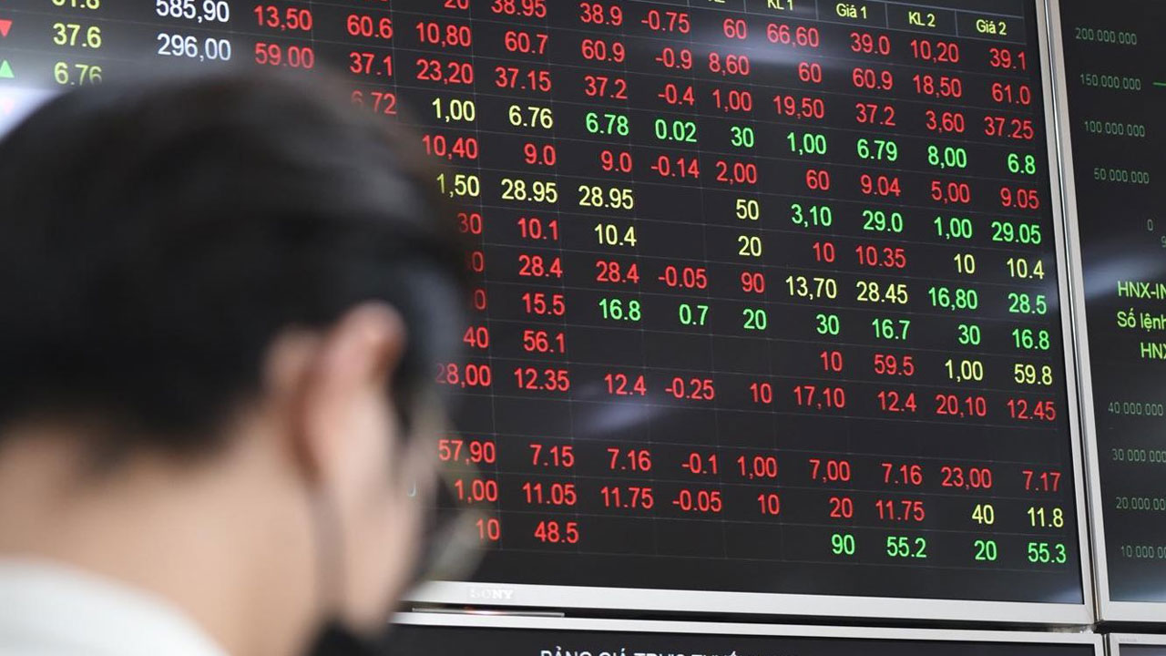 Hoa Phat to pay 20% stock dividend
