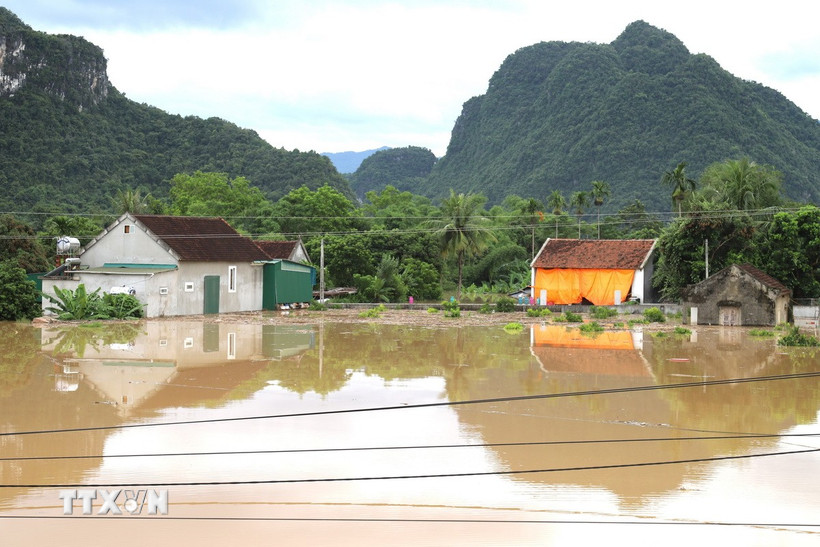 Flooding in Nghe An kills three, displaces thousands