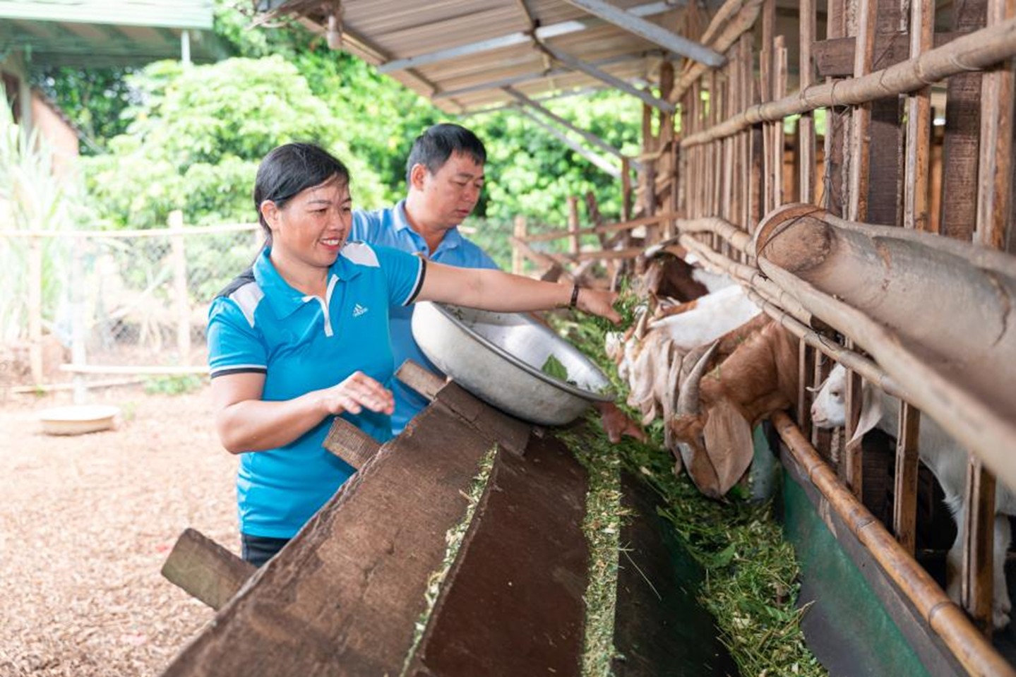 Cargill’s lasting impact in Vietnam: Livelihoods, education, and environment