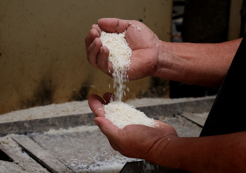 Rice export price falls 18.5% in Jan-Sept