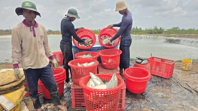VAT exemption proposed for trading unprocessed farm, fishery products