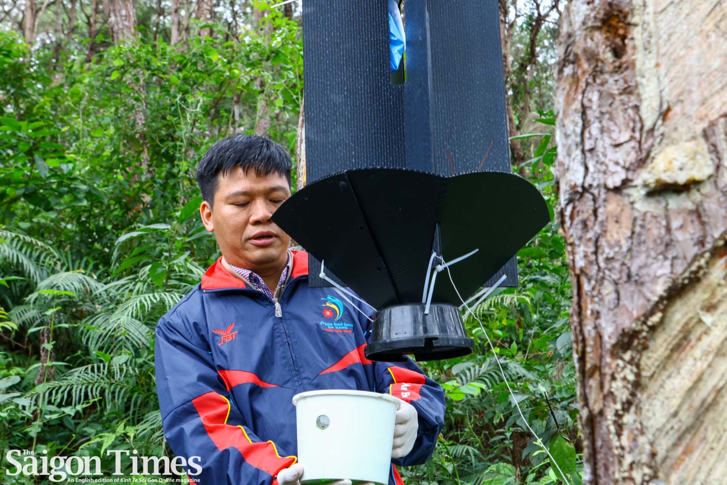 Australia-backed project strengthens forest biosecurity in Vietnam