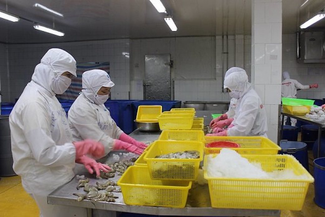 China spends over US$1 billion on shrimp imports from Vietnam in Jan-Oct