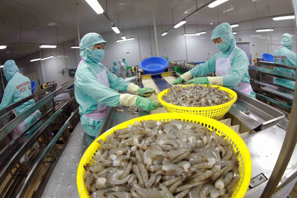 Vietnam’s seafood exports to U.S. fall sharply in January as MMPA enforcement begins