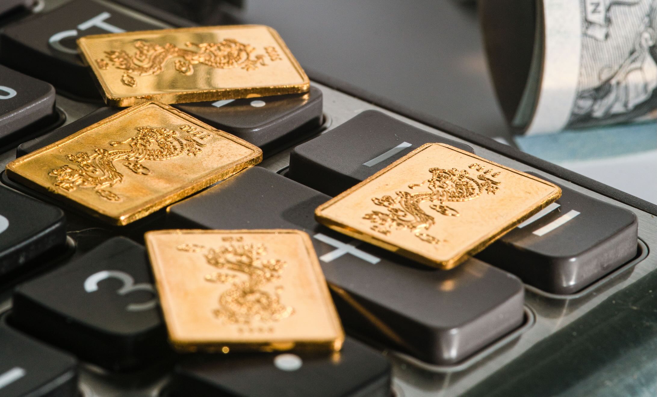 The year of gold fever