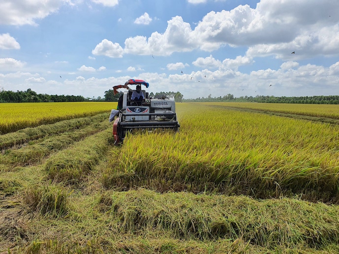 Rising costs squeeze farmers
