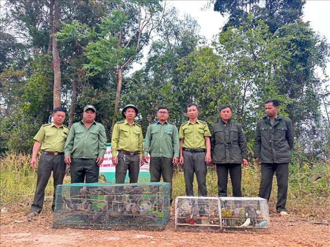 Hundreds of wild animals released to natural habitats