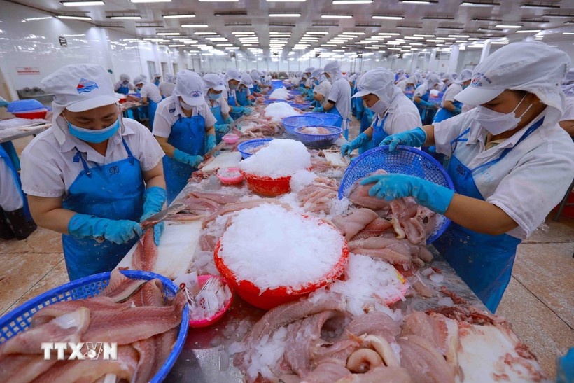 MOIT assigned to oversee EVFTA, CPTPP and UKVFTA implementation