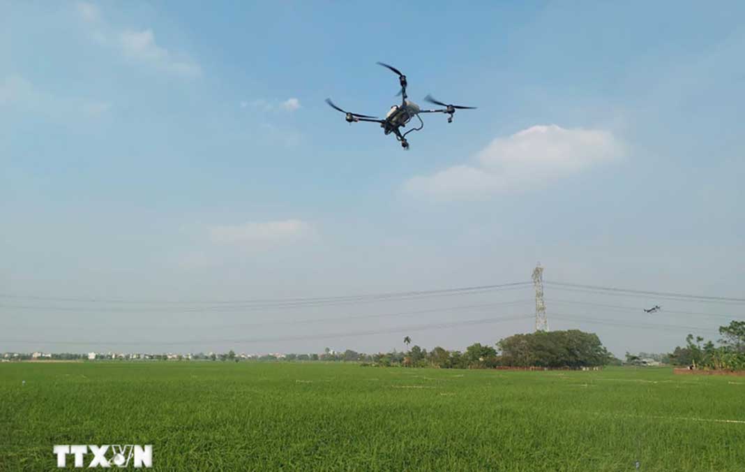 Danang authorities stop foreign tourist for illegal drone operation