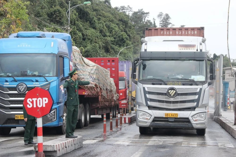 Vietnam suspends implementation of Decree 46 on food safety until mid-April