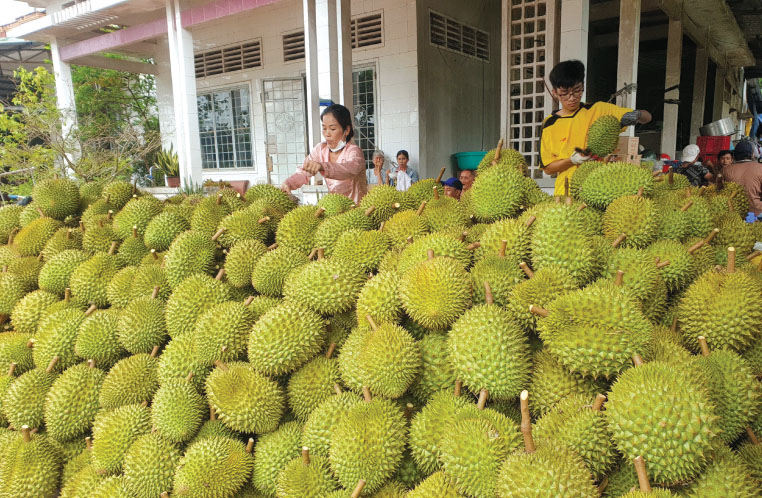 Tan Thanh border gate sees surge in agricultural trade