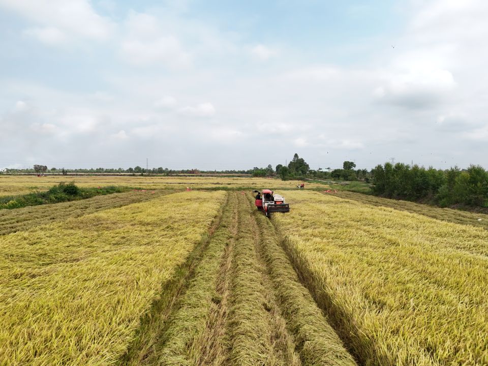 Vietnam outlines sustainable agriculture agenda for next five years