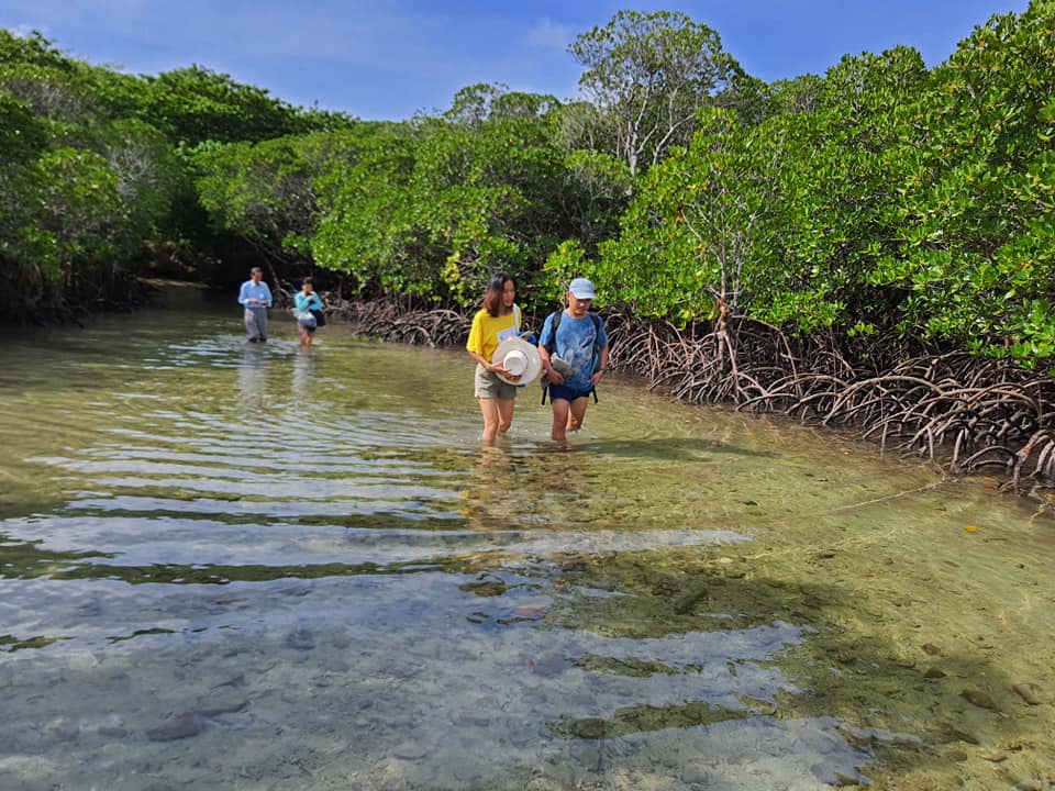 Conservation groups call for stronger national oversight of protected areas