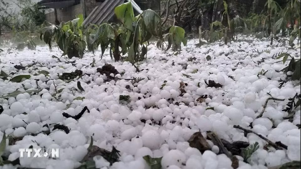 Hailstorms, strong winds damage 3,100 homes, 15,700 hectares of crops