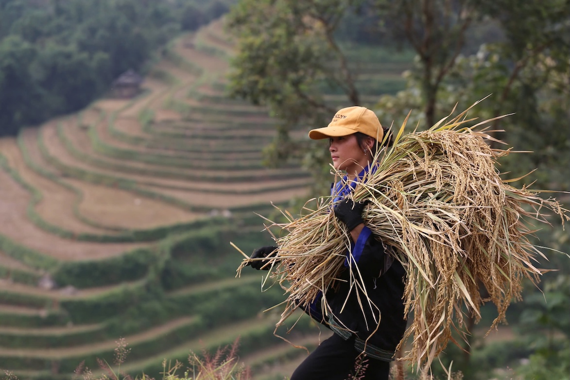 A symphony across terraced fields