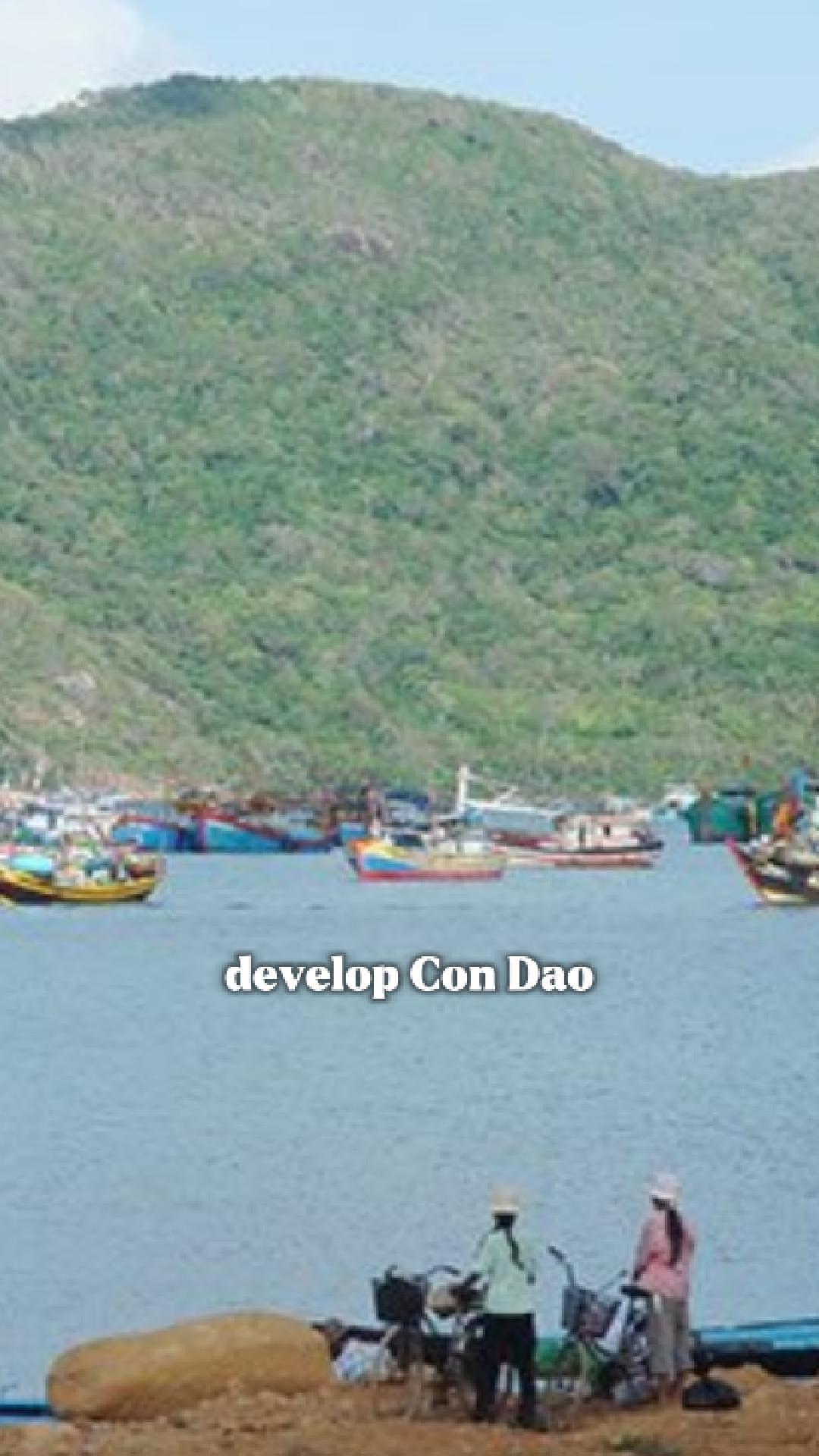 HCMC plans marine conservation hub on Con Dao