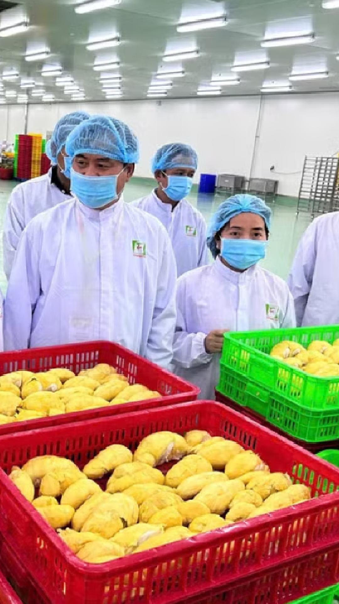 Vietnam agro-forestry-fishery trade surplus tops US$7 billion in Jan-May