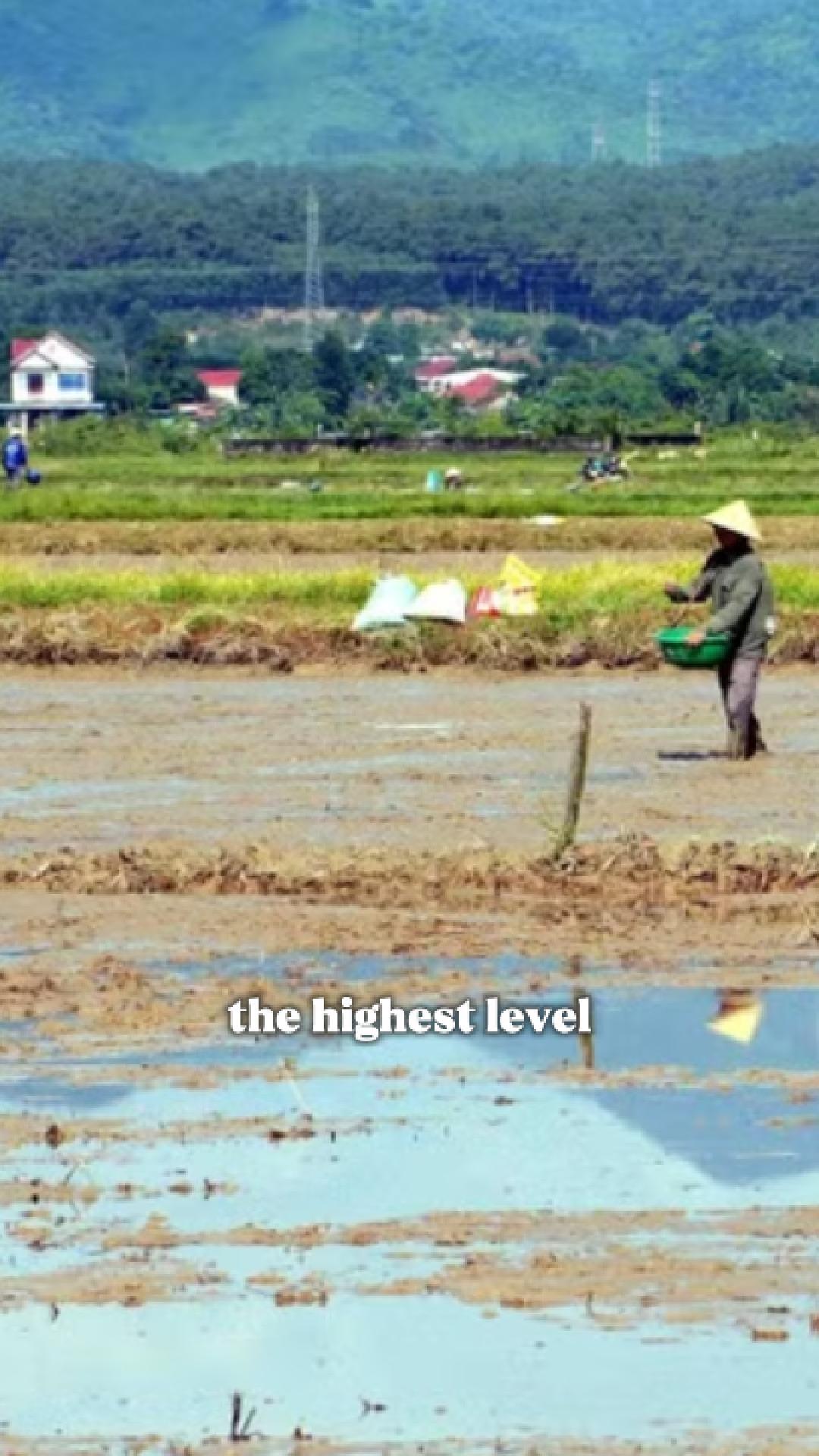 Heatwave hits central Vietnam