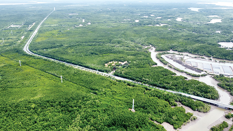 Agriculture ministry to oversee national carbon credit registry