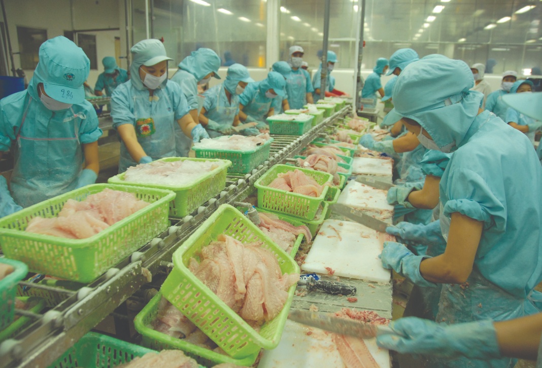 Vietnam agro-forestry-fisheries exports rise 6.1% in Jan-May