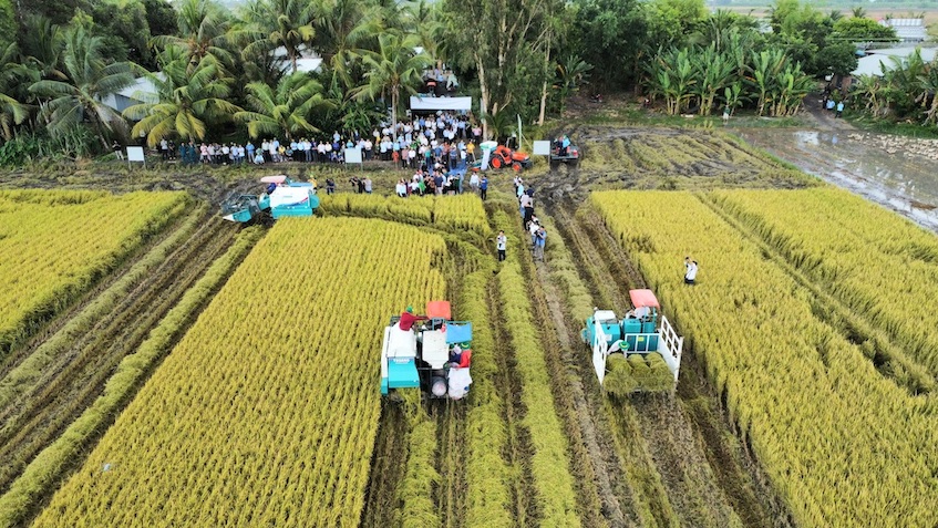 Vietnam posts US$30.69 billion in agro-forestry-fishery exports in Jan-May